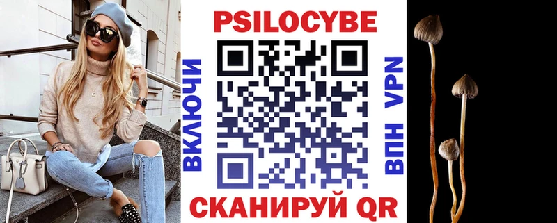 наркота  Староминская  Псилоцибиновые грибы Psilocybine cubensis 